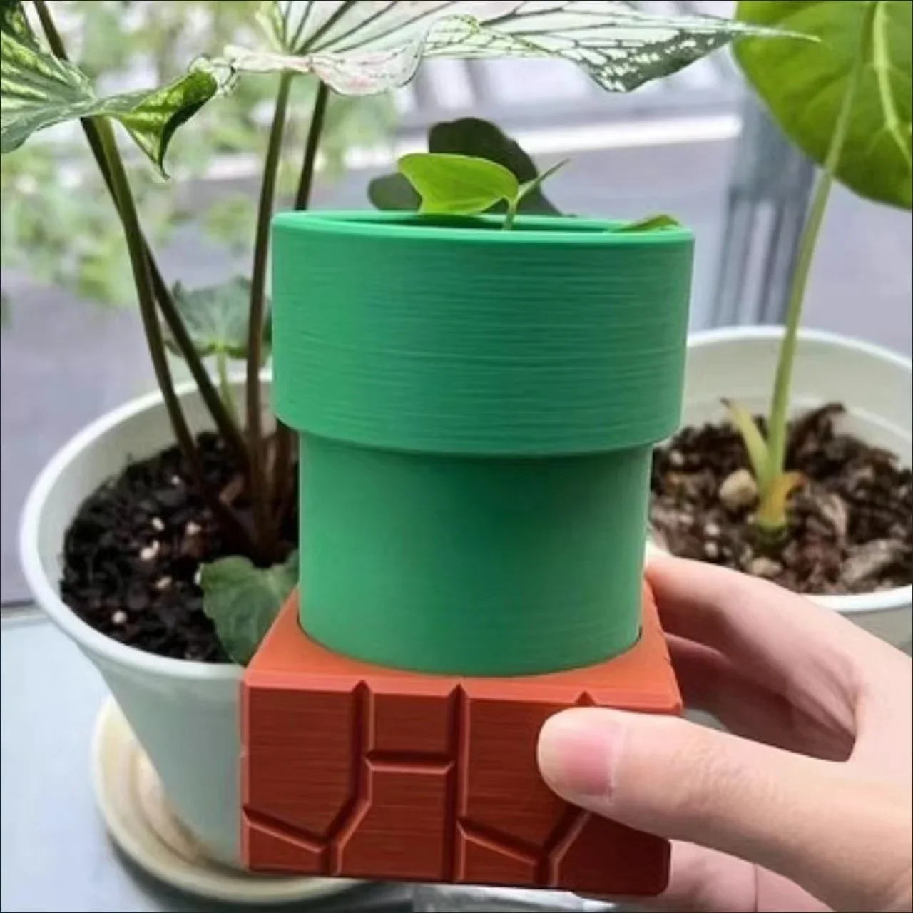 Snake Plant Ceramic - انبوب ماء أواني زهور أكلة لحوم