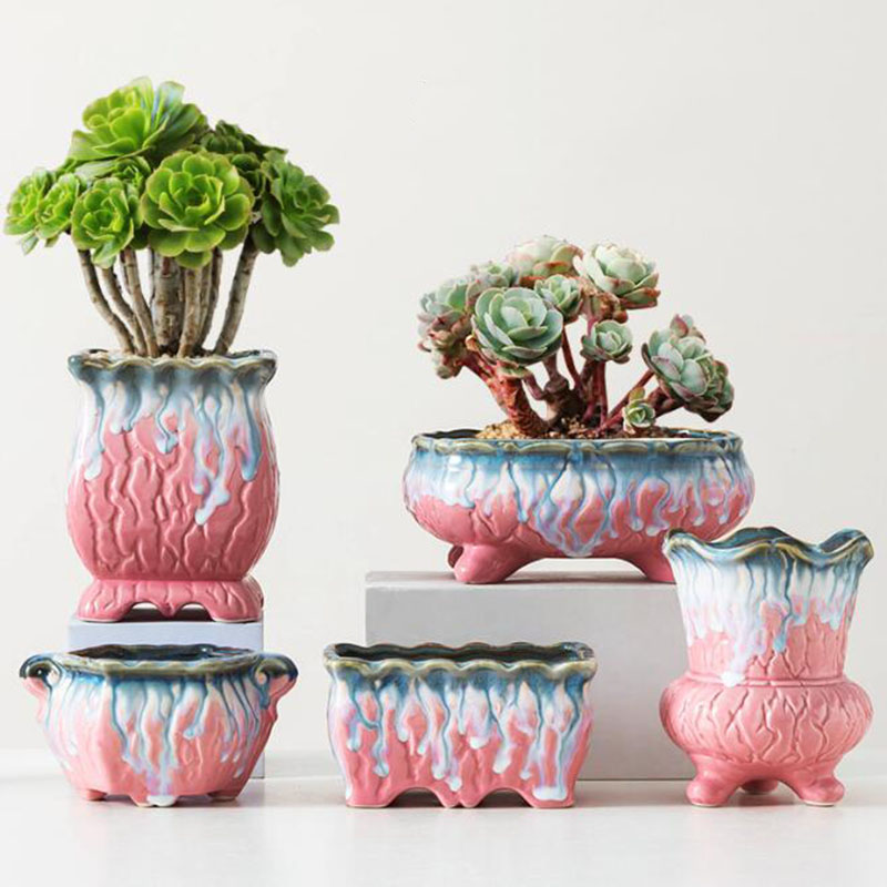 زهور مزججة مبتكرة ، وعاء نباتا - مراجعة Snake Plant Ceramic وسعره