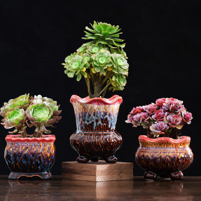 زهور مزججة مبتكرة ، وعاء نباتا - مراجعة Snake Plant Ceramic وسعره