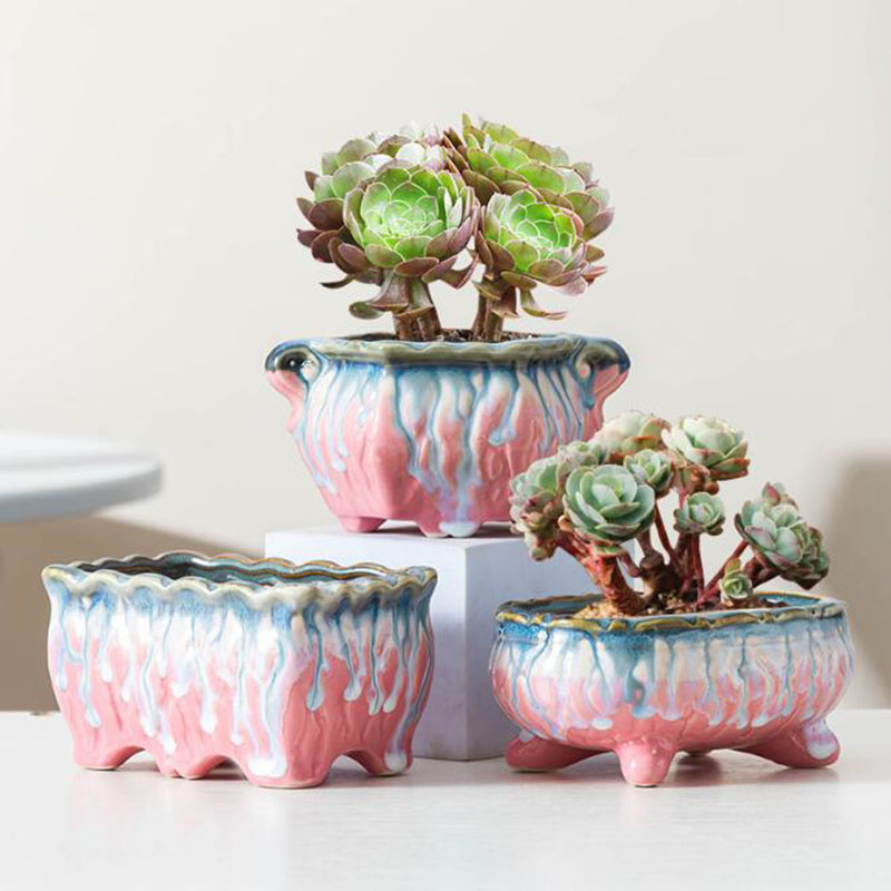 زهور مزججة مبتكرة ، وعاء نباتا - مراجعة Snake Plant Ceramic وسعره