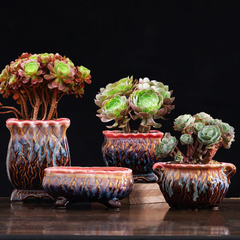 زهور مزججة مبتكرة ، وعاء نباتا - مراجعة Snake Plant Ceramic وسعره