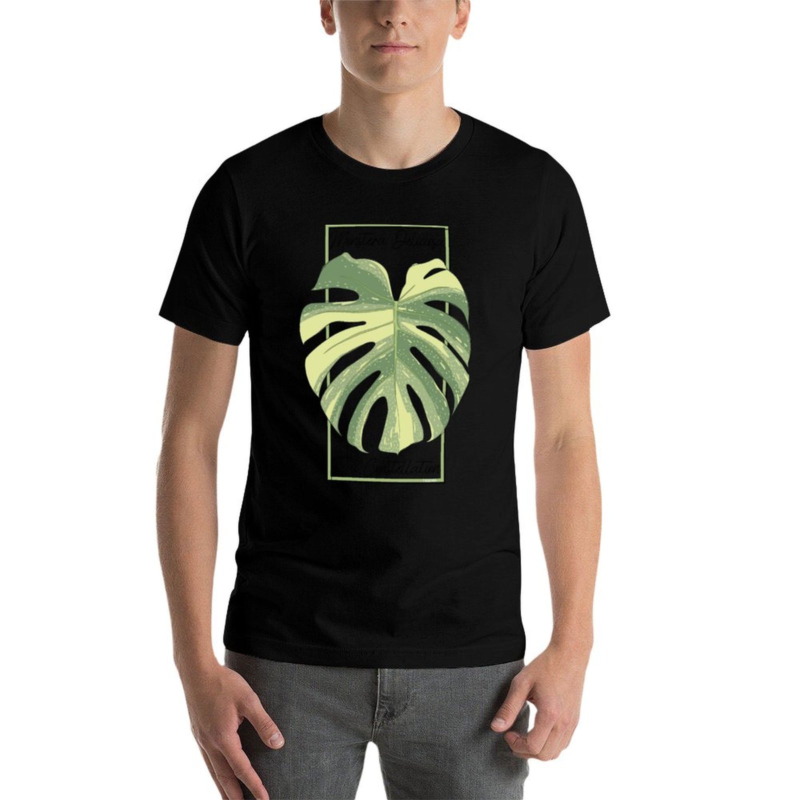 تي شيرت Monstera Thai Constell - مراجعة Monstera Thai Constellation وسعره