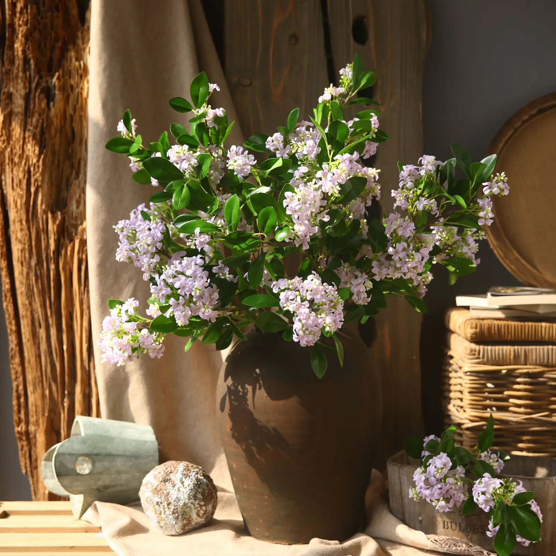72 سنتيمتر فرع Murraya الاصطنا - مراجعة String Of Pearls Plant وسعره