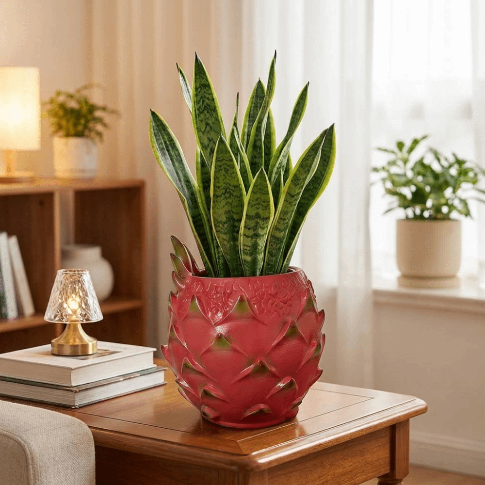 مزهرية فاكهة التنين الإبداعية  - مراجعة Snake Plant Ceramic وسعره