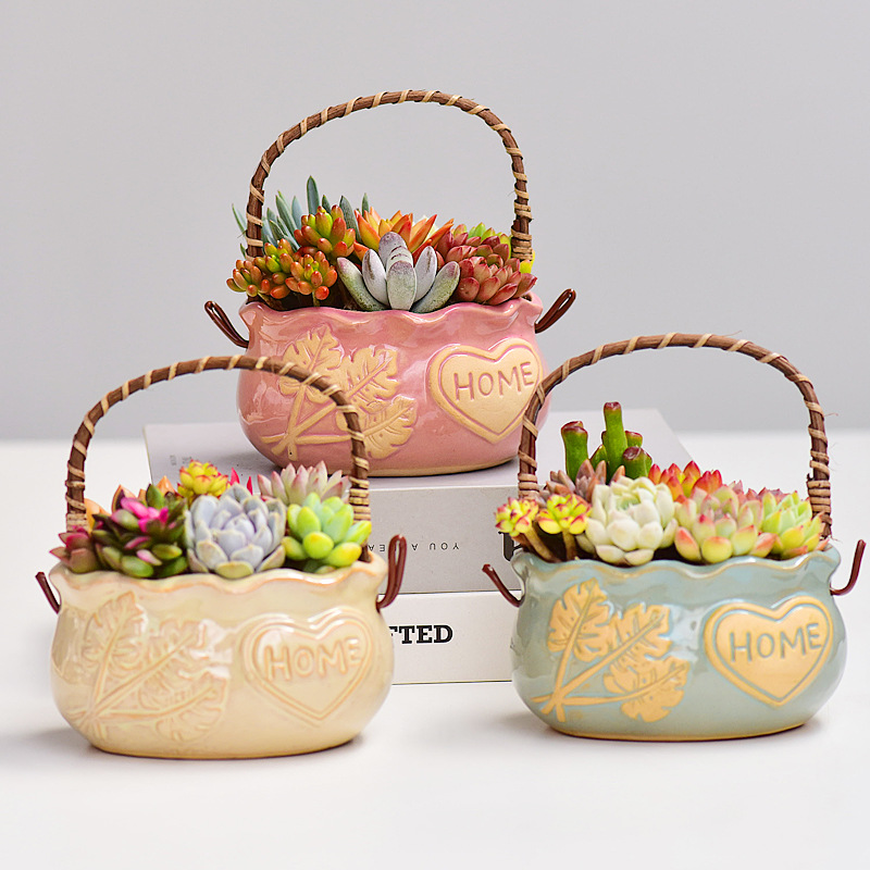وعاء سيراميك بتصميم نورديك للن - مراجعة Snake Plant Ceramic وسعره
