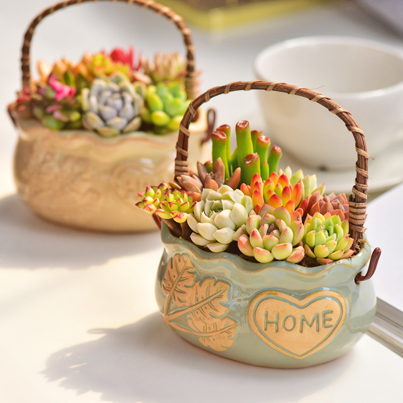 وعاء سيراميك بتصميم نورديك للن - مراجعة Snake Plant Ceramic وسعره