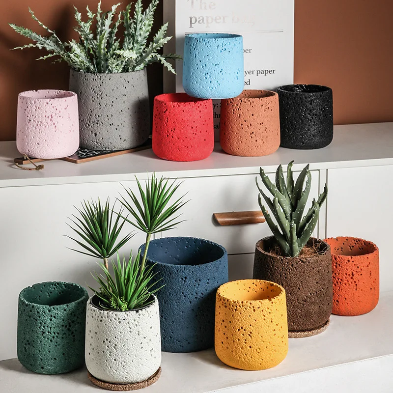 الشمال الاسمنت اناء للزهور الد - مراجعة Snake Plant Ceramic وسعره