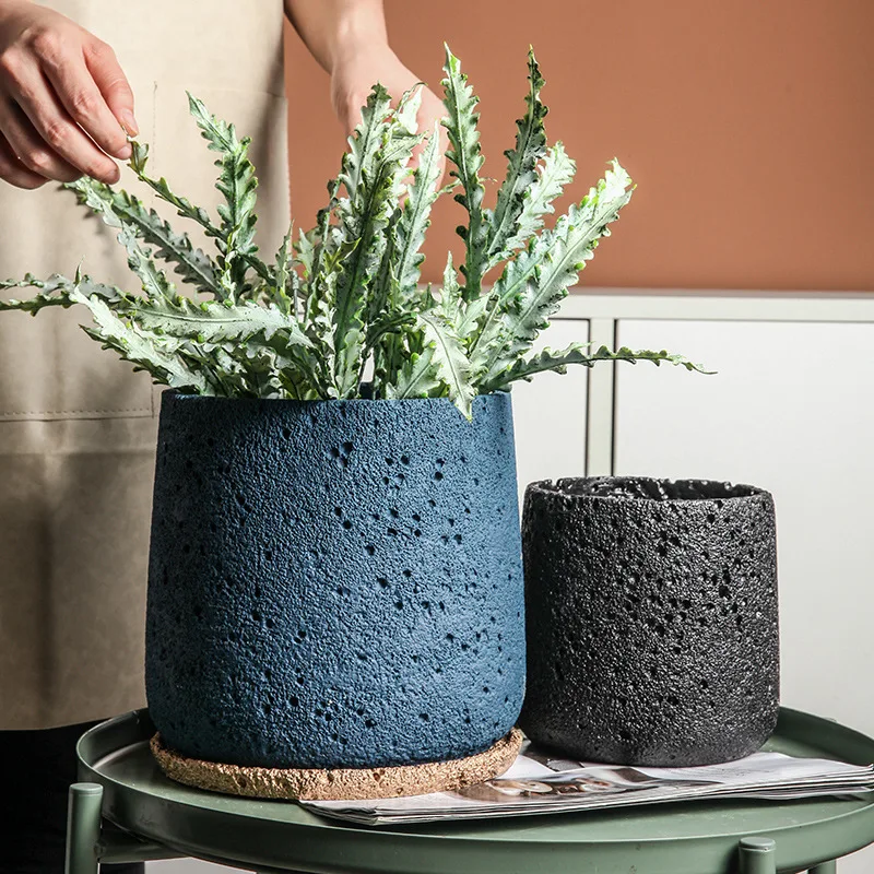 الشمال الاسمنت اناء للزهور الد - مراجعة Snake Plant Ceramic وسعره
