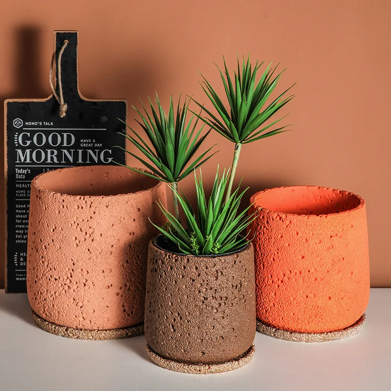 الشمال الاسمنت اناء للزهور الد - مراجعة Snake Plant Ceramic وسعره