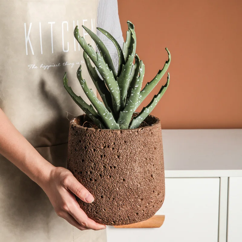 الشمال الاسمنت اناء للزهور الد - مراجعة Snake Plant Ceramic وسعره