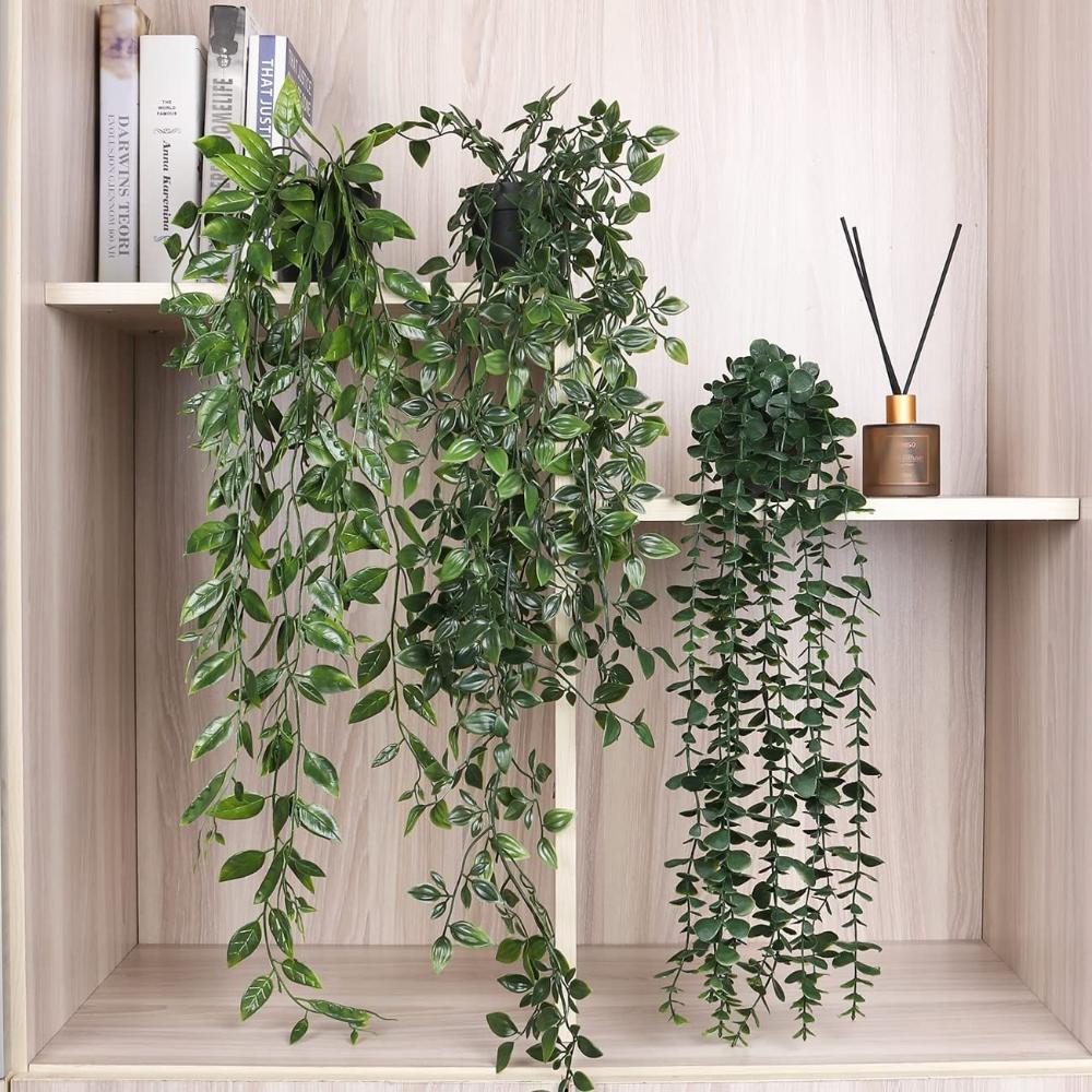 نباتات معلقة صناعية مع وعاء نب - مراجعة String Of Pearls Plant وسعره