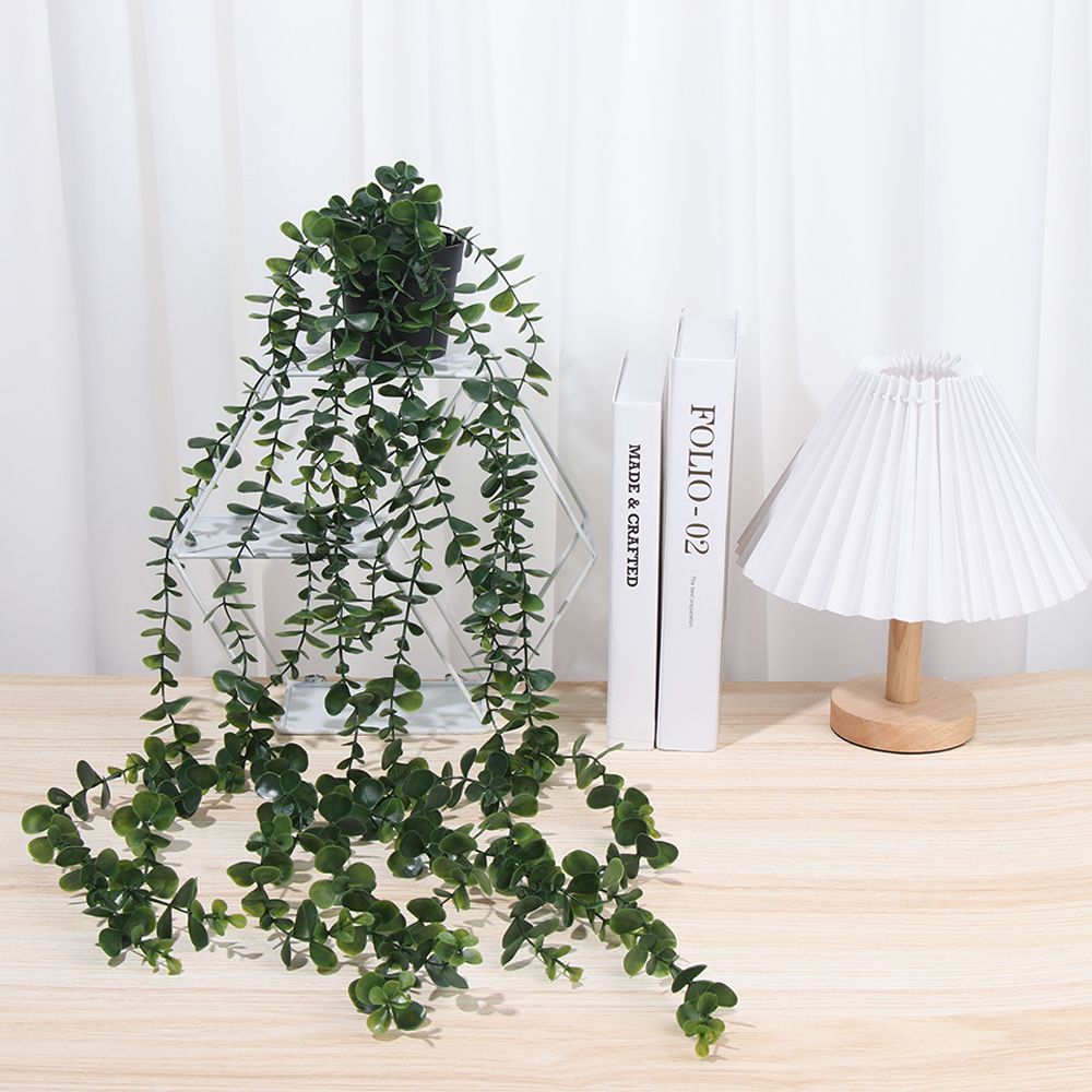 نباتات معلقة صناعية مع وعاء نب - مراجعة String Of Pearls Plant وسعره