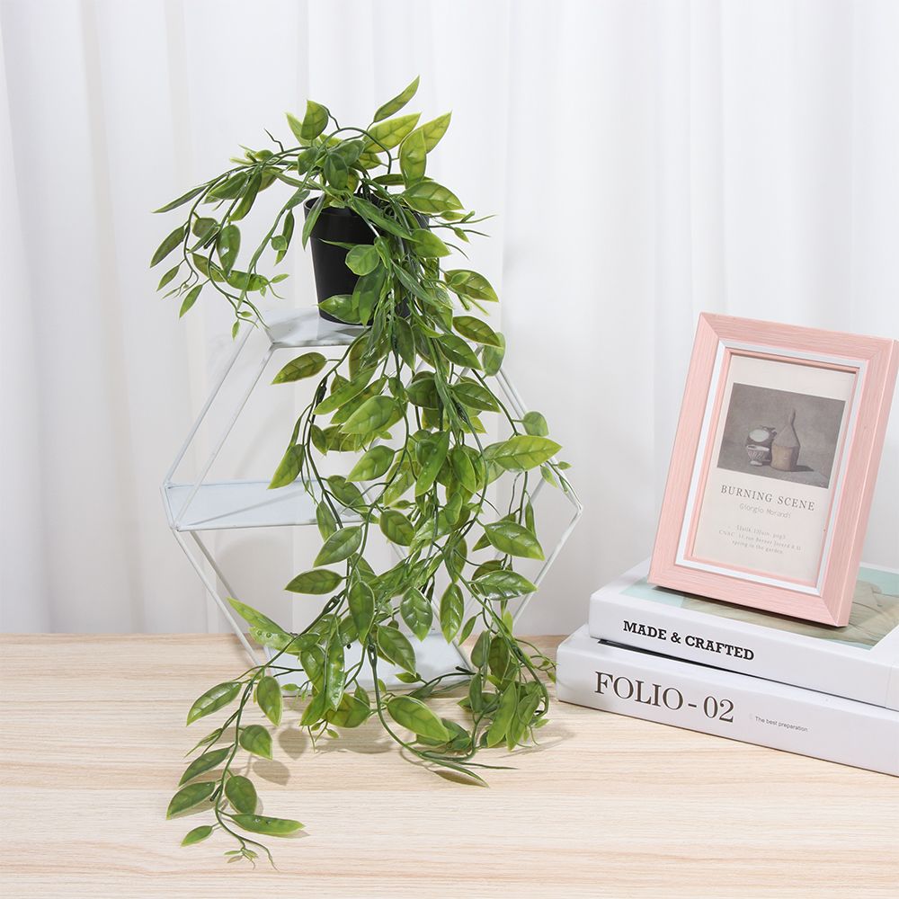 نباتات معلقة صناعية مع وعاء نب - مراجعة String Of Pearls Plant وسعره