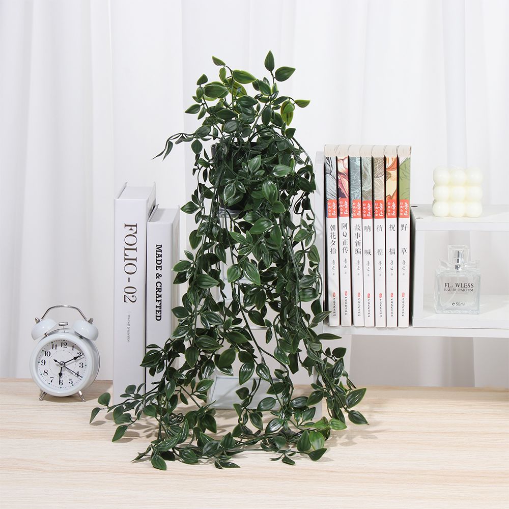 نباتات معلقة صناعية مع وعاء نب - مراجعة String Of Pearls Plant وسعره