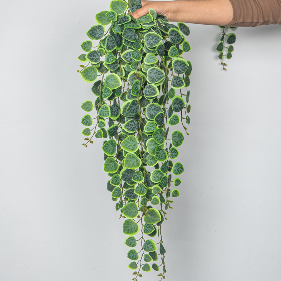 60-80 سنتيمتر الاصطناعي معلقة  - مراجعة String Of Pearls Plant وسعره