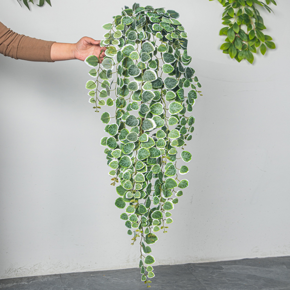 60-80 سنتيمتر الاصطناعي معلقة  - مراجعة String Of Pearls Plant وسعره