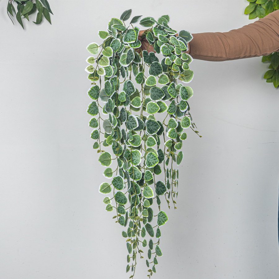 60-80 سنتيمتر الاصطناعي معلقة  - مراجعة String Of Pearls Plant وسعره