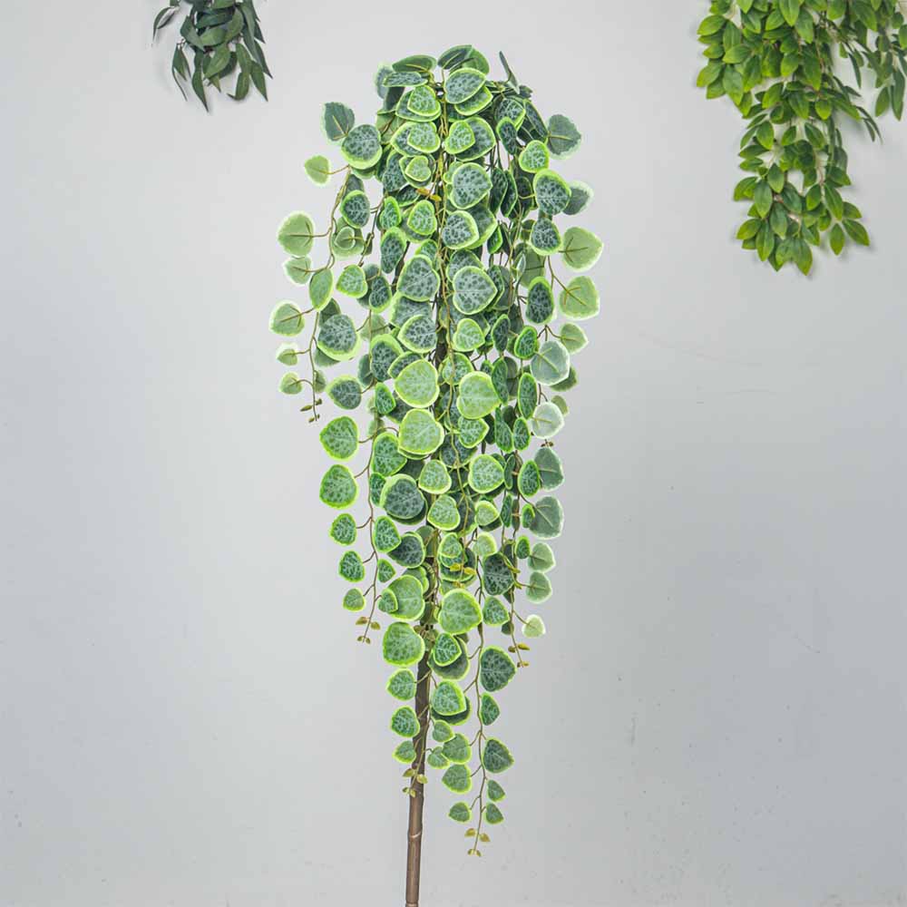 60-80 سنتيمتر الاصطناعي معلقة  - مراجعة String Of Pearls Plant وسعره