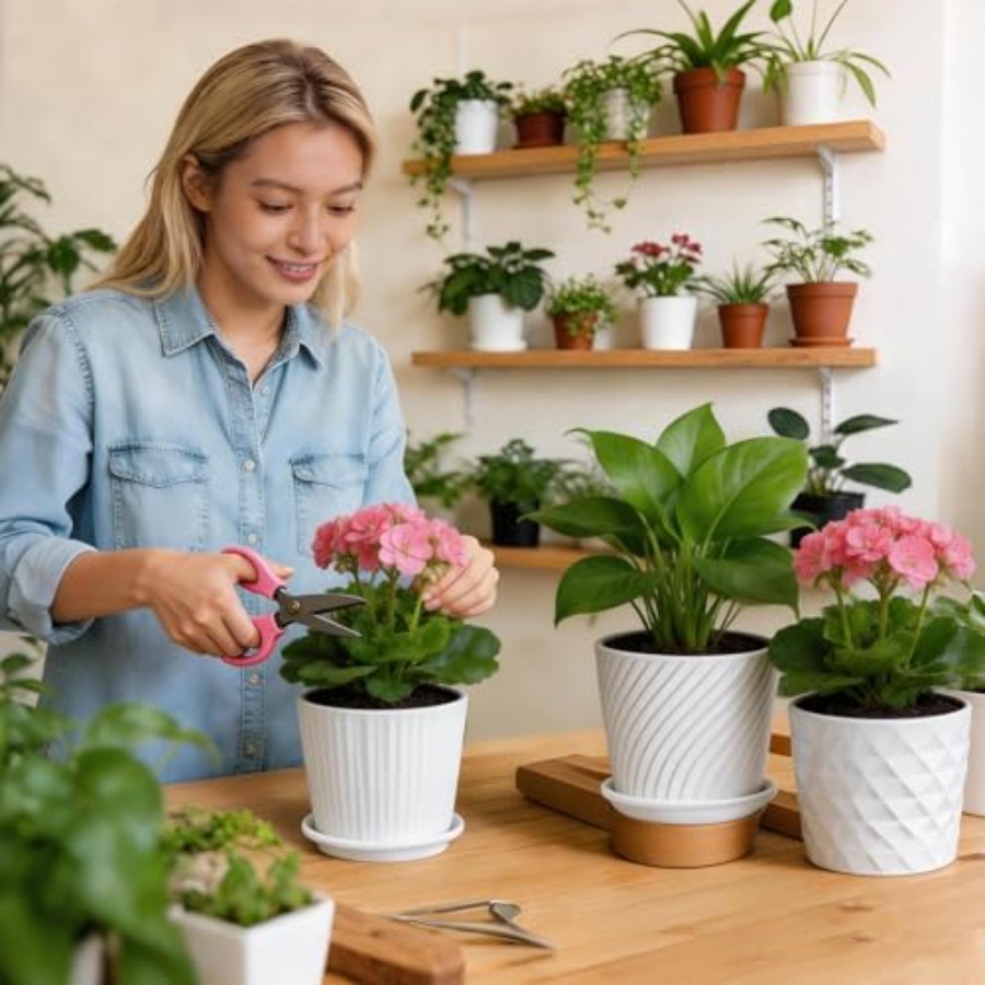 أواني نباتات - أصص سيراميك أسط - مراجعة Snake Plant Ceramic وسعره