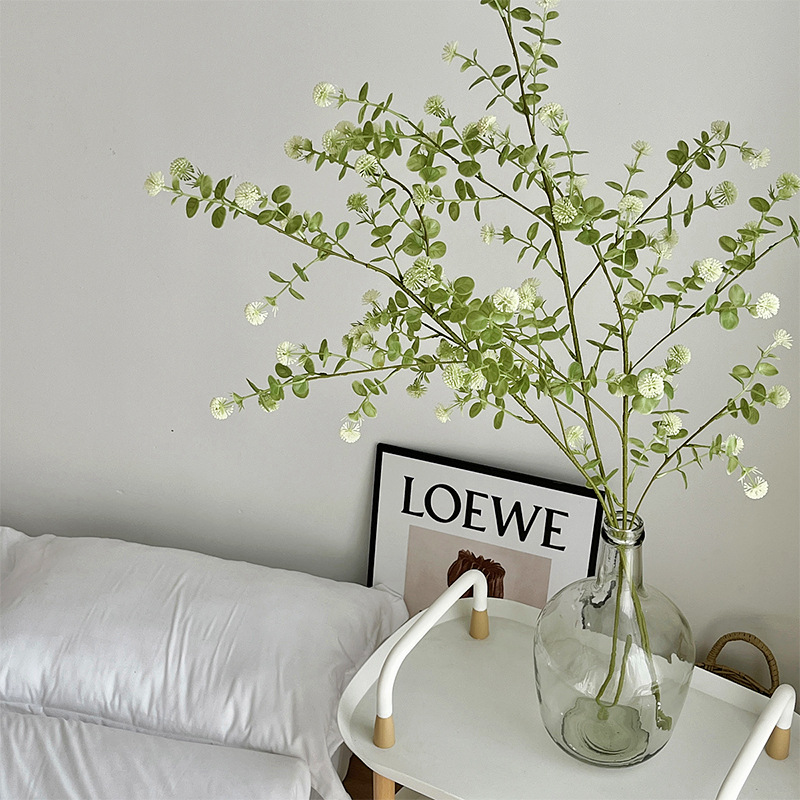 نباتات صناعية خضراء ، غابة زهو - مراجعة String Of Pearls Plant وسعره