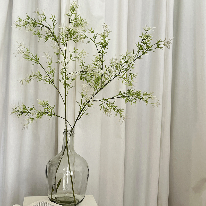 نباتات صناعية خضراء ، غابة زهو - مراجعة String Of Pearls Plant وسعره