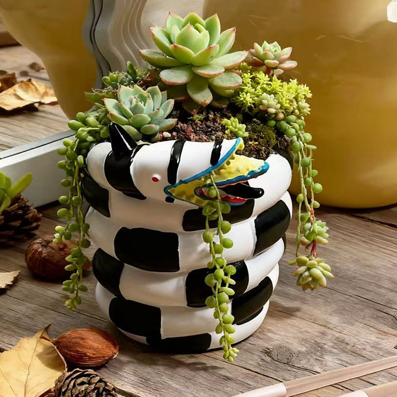 قطعة واحدة من وعاء الزهور الرا - مراجعة Snake Plant Ceramic وسعره