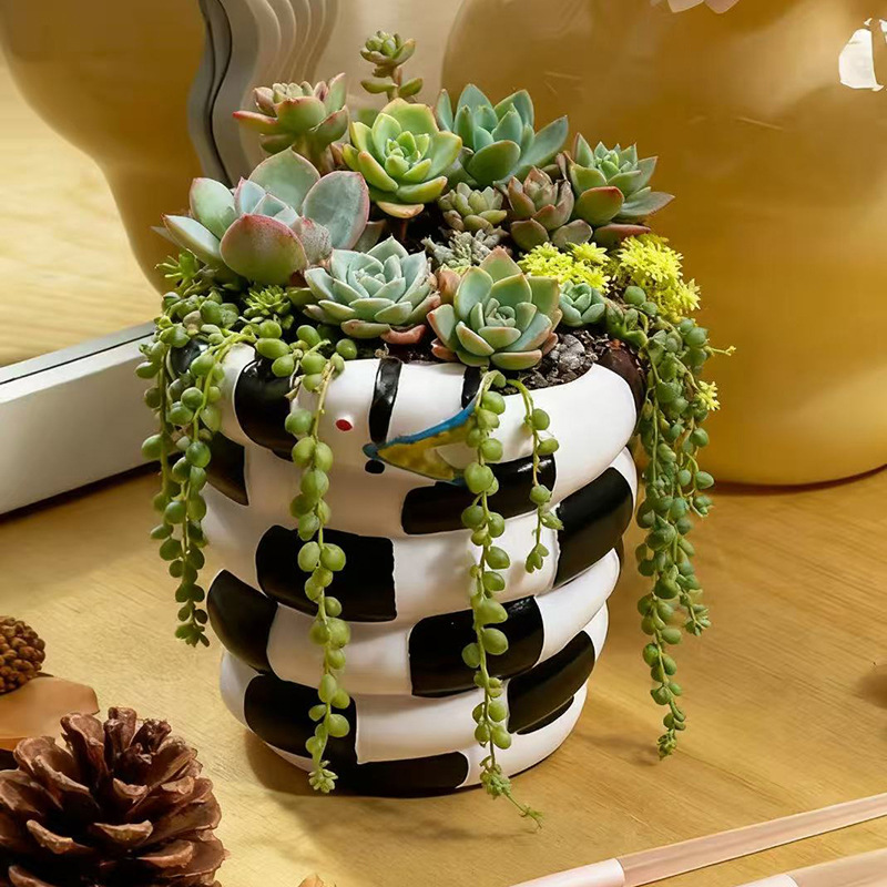 قطعة واحدة من وعاء الزهور الرا - مراجعة Snake Plant Ceramic وسعره