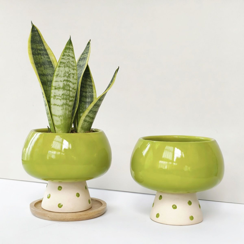 وعاء زهور سيراميك أنيق بتصميم  - مراجعة Snake Plant Ceramic وسعره