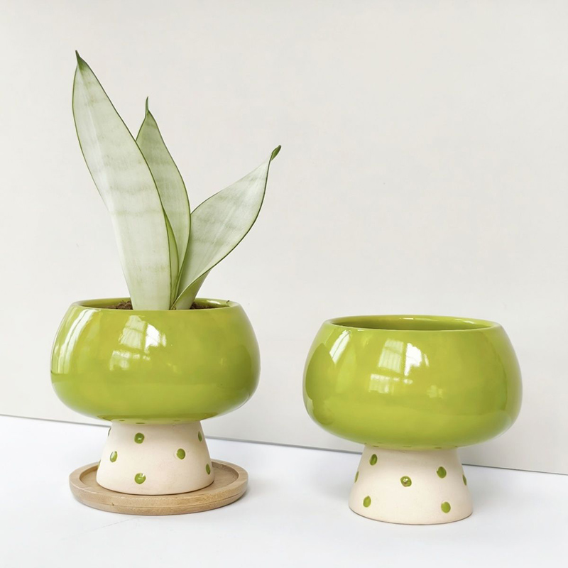 وعاء زهور سيراميك أنيق بتصميم  - مراجعة Snake Plant Ceramic وسعره