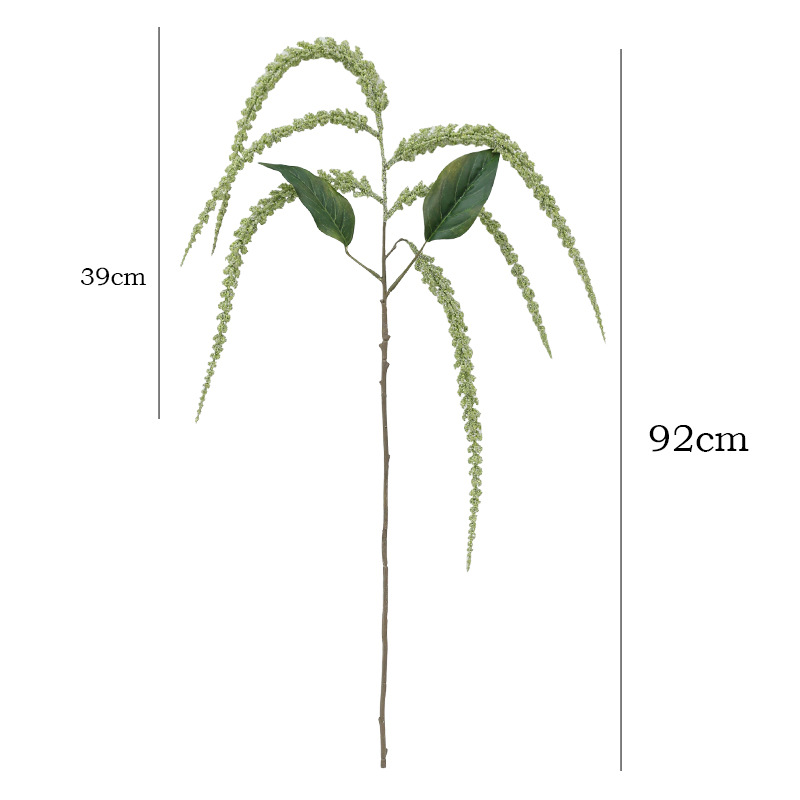 نباتات لؤلؤية اصطناعية بطول 36 - مراجعة String Of Pearls Plant وسعره