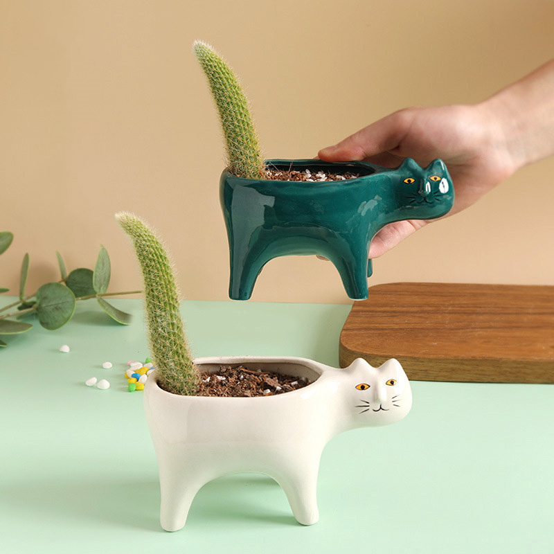 لطيف القط السيراميك حديقة اناء - مراجعة Snake Plant Ceramic وسعره