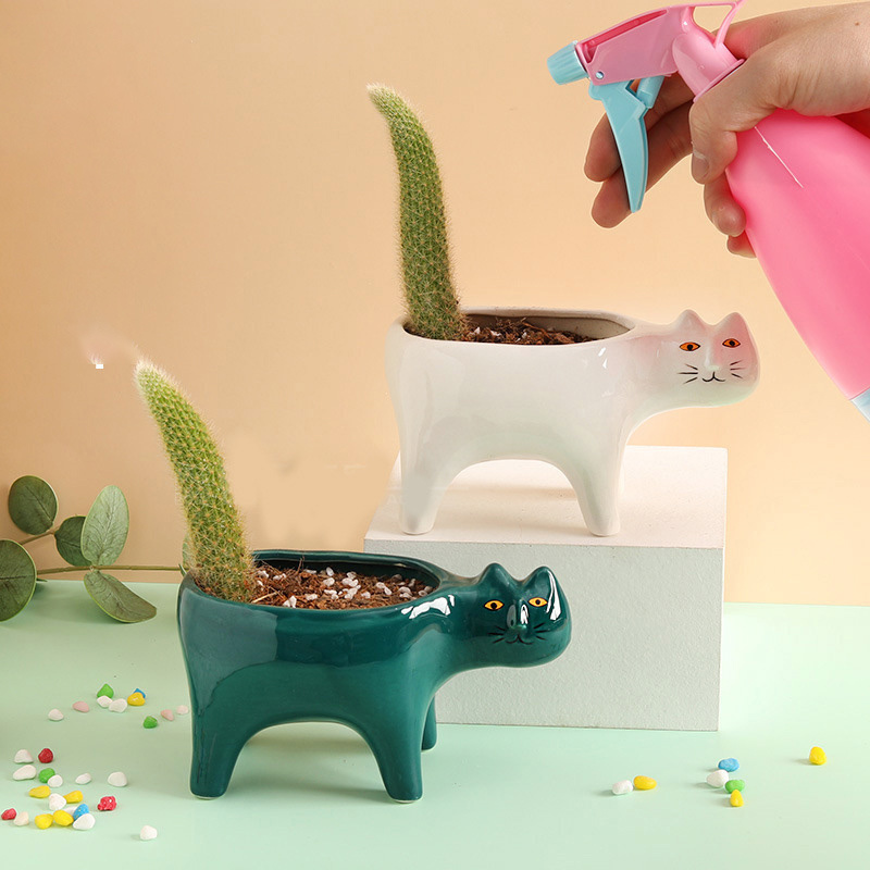 لطيف القط السيراميك حديقة اناء - مراجعة Snake Plant Ceramic وسعره