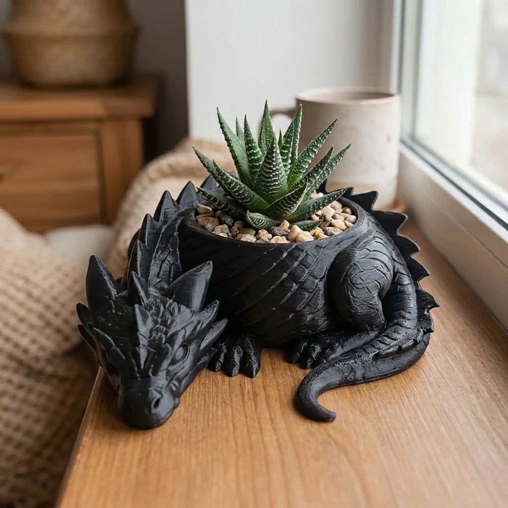 وعاء نباتات على شكل تنين مطبوع - مراجعة Snake Plant Ceramic وسعره