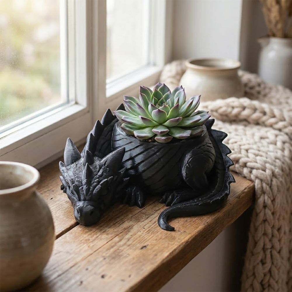 وعاء نباتات على شكل تنين مطبوع - مراجعة Snake Plant Ceramic وسعره